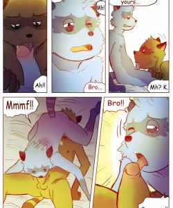 The Story Of The Racoon 007