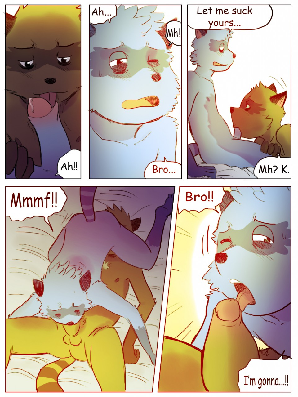 The Story Of The Racoon 007