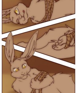 The Vixen And The Bear 2 - The Hunt For The Red Casket 032