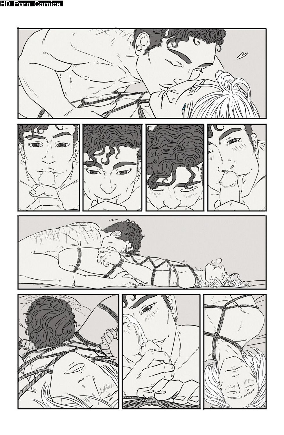 Ties 010