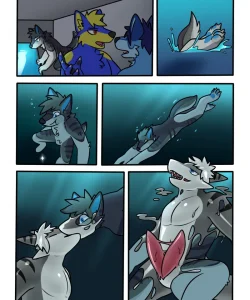 Tiger Shark 002