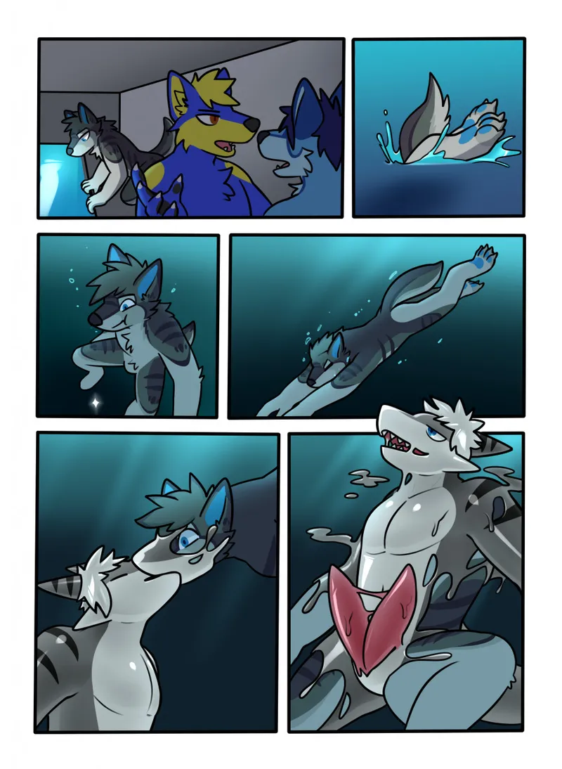 Tiger Shark 002