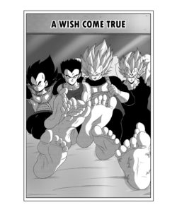 Vegeta - The Paradise In His Feet 6 - A Wish Come True 001